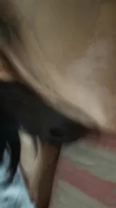 母狗人妻毒龙