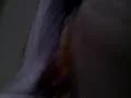 我与她的日子